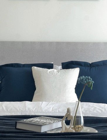 picture C6561 Rent : Condo The Rich Rama 9 - Srinakarin ( MRT Hua Mak ) 064 665 4666 - 4/17