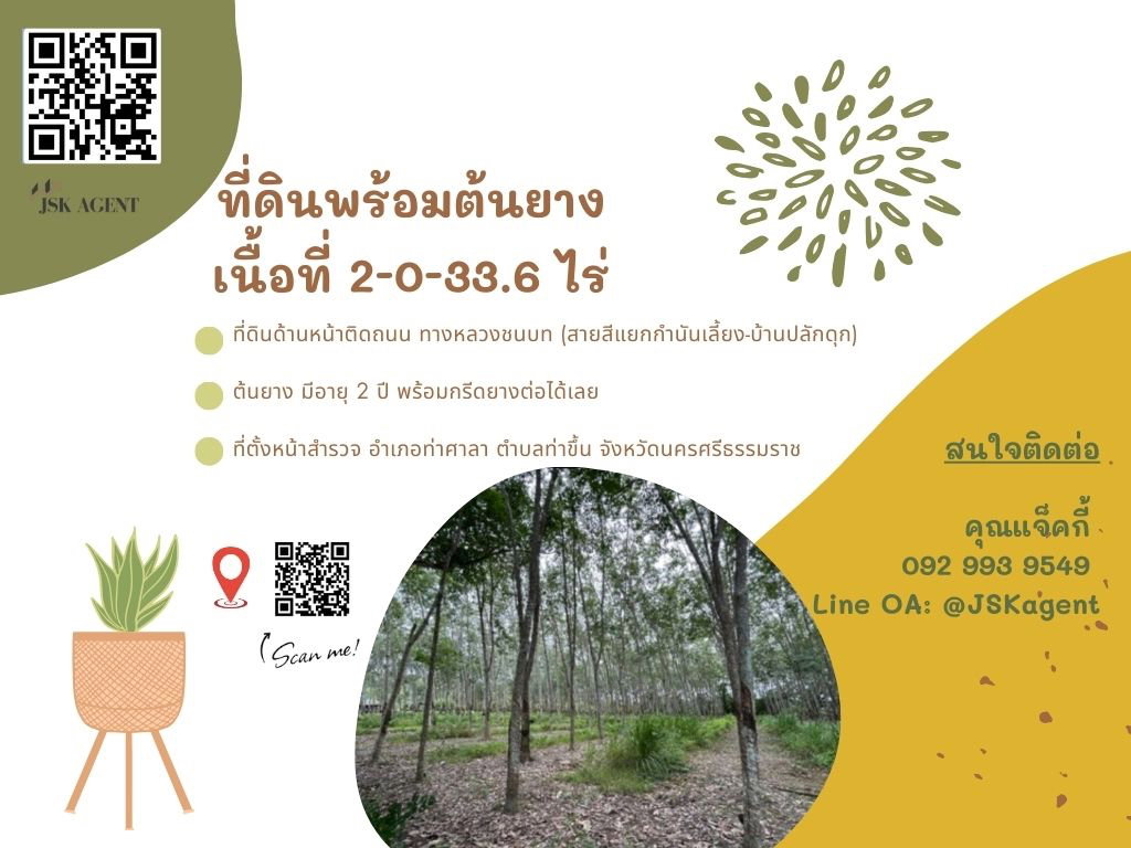 🔥 Beautiful land for sale in a prime location, Tha Sala District, Nakhon Si Thammarat 🔥