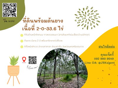 Land for sale Tha Sala Nakhon Sri Thammarat : 🔥 Beautiful land for sale in a prime location, Tha Sala District, Nakhon Si Thammarat 🔥