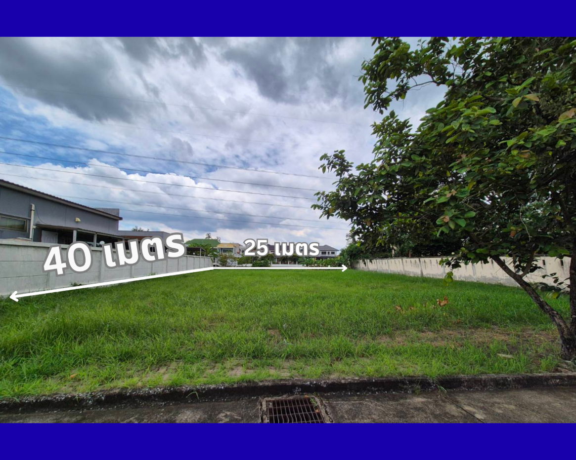 picture Land for Sale near Rodtang's wife Muaythai Gym - 4/6