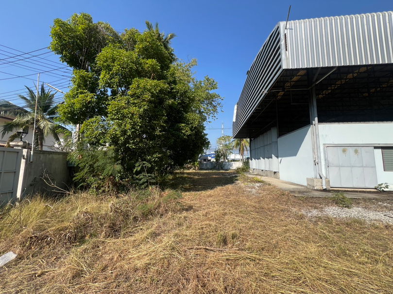 รูป ให้เช่า ที่ดิน สารภี ท่าศาลา 2-3-35 ไร่ ใกล้ บิ๊กซี ดอนจั่น (ID:270LR) - รูปที่ 17/34