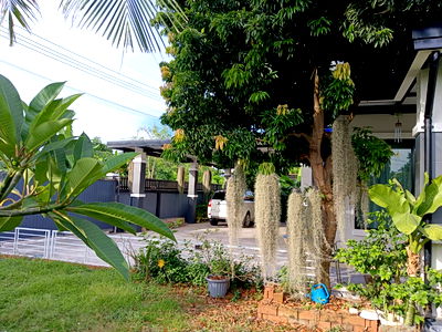 บ้านเดี่ยว บ้านบึง ชลบุรี : ขายบ้านเดี่ยวชั้นครึ่งมีเทอเรส ราคา2•8 ลบ