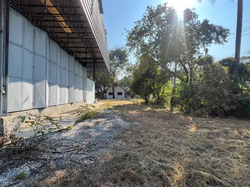 รูป ให้เช่า ที่ดิน สารภี ท่าศาลา 2-3-35 ไร่ ใกล้ บิ๊กซี ดอนจั่น (ID:270LR) - รูปที่ 23/34