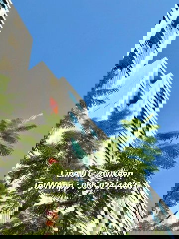 รูป ให้เช่า Dcondo Vale ศรีราชา ติดม.เกษตร ศรีราชา - รูปที่ 9/13