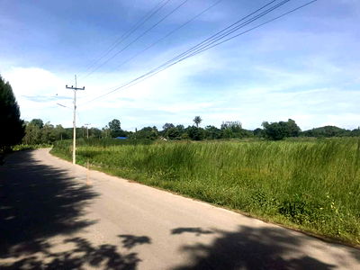 Land for sale Suan Phung Ratchburi : Land for Sale: 24 Rai 3 Ngan 97.5 Square Wah 📍 Tha Khoei Subdistrict, Suan Phueng District, Ratchaburi Province