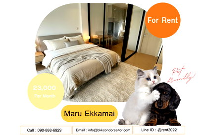 Condos for rent : 🍀🍀🍀 Beautiful Condo🌸For Rent 📌 Maru Ekkamai 2 🐶🐱 Pet-friendly 📲 Line: @rent2022 🔖 PT Code: A02129