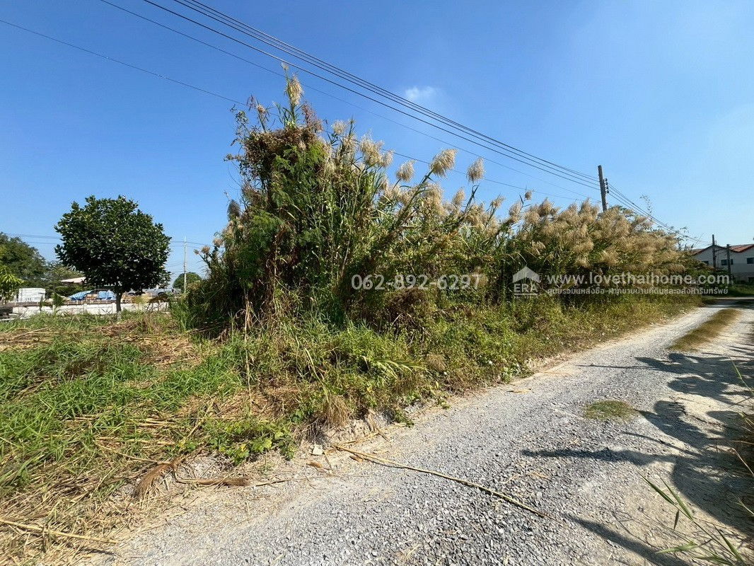 รูป ขายที่ดินถมแล้ว พื้นที่ 100 วาแปลงสวยติดถนนราคา 15,000 บาท/ตรว.เท่านั้น - รูปที่ 9/11