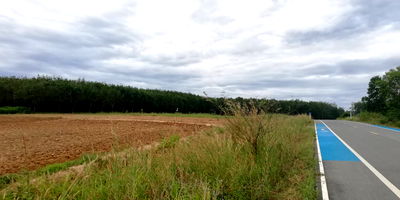 เช่าที่ดิน ระยอง : ให้เช่า ที่ดิน แปลงสวย อ่างเก็บน้ำดอกกราย แม่น้ำคู้ ปลวกแดง ระยอง เพาะพันธุ์ต้นยาง