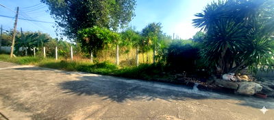 Land for sale Department of Livestock Development Pathum Thani : Land for Sale – Muang Ake Village Large vacant land plot at an affordable price, Land size: 178 square wah.