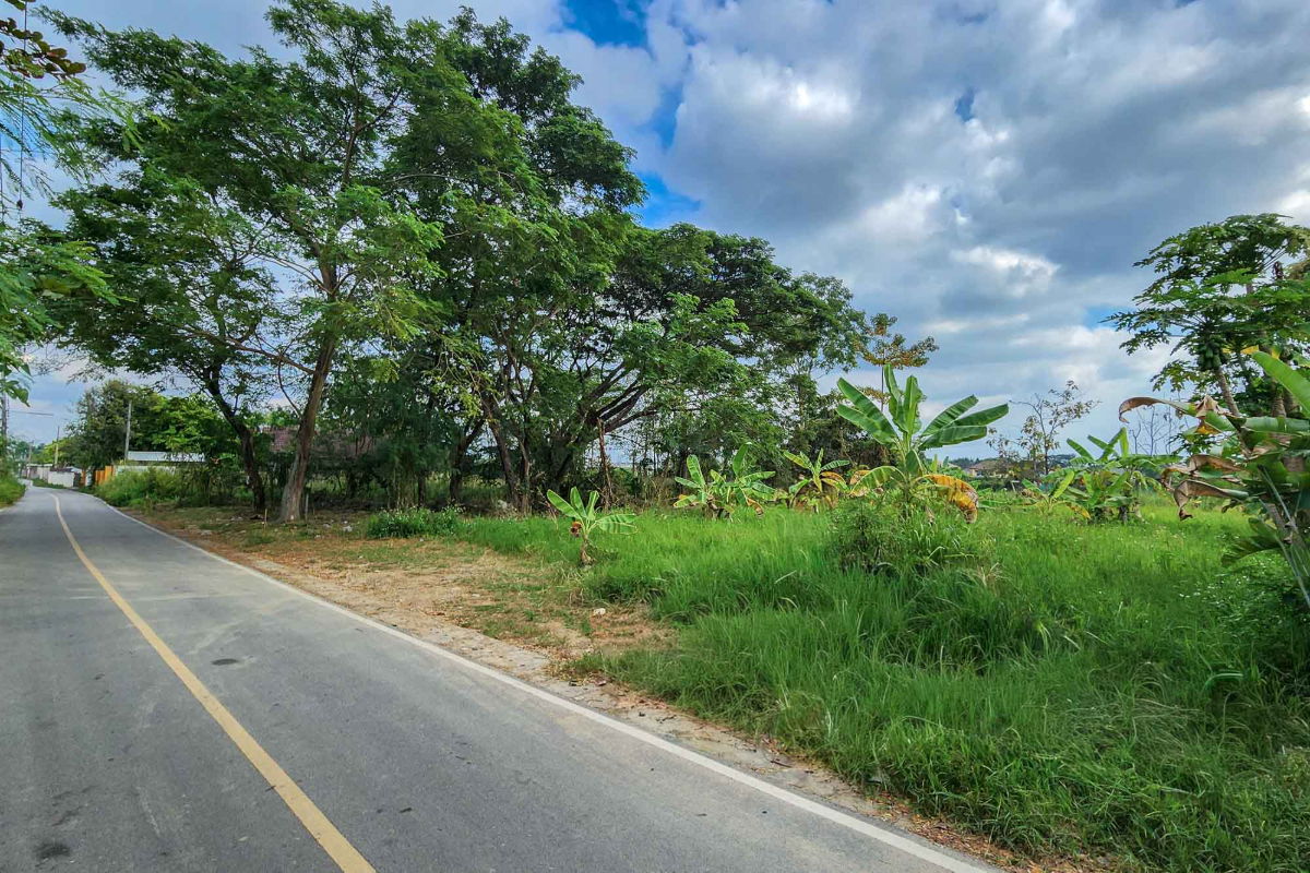 รูป ขายที่ดิน ถมแล้ว พร้อมสร้าง วิวทุ่งนา บรรยากาศสงบ สันผักหวาน หางดง ใกล้ถนนหลัก - รูปที่ 7/7