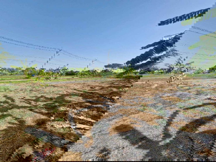 รูป ที่ดินเปล่าถมแล้ว 238 ตารางวา ถนนราษฎร์อุทิศ คู้ขวาหนองจอก ทำเลดีติดถนนเมนต้นซอย - รูปที่ 8/14