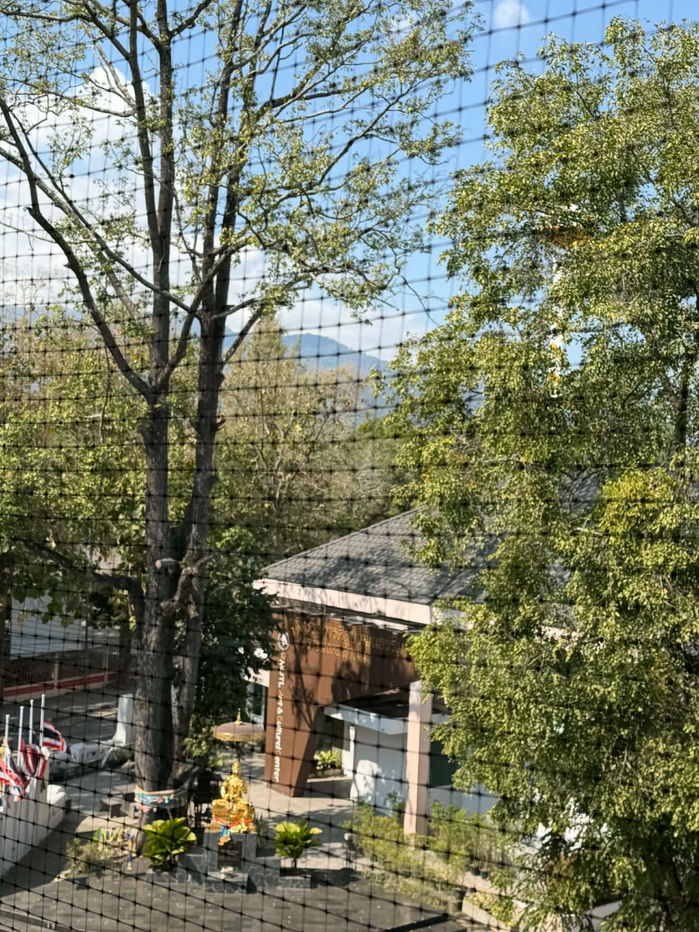 picture The next jedyod for sale 1,990,000 THB Free transfer fee , new room Tel. 082-389-9314 Boo - 12/13