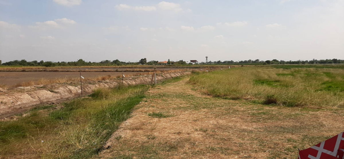 รูป ประกาศขายบ้านพร้อมที่ดิน ทำเลดี จ.ฉะเชิงเทรา - รูปที่ 3/5