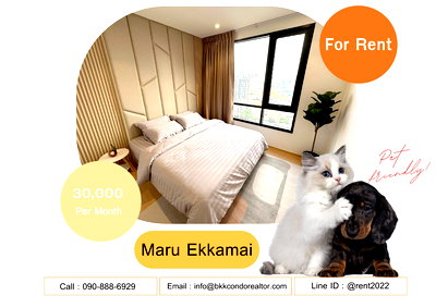 Condos for rent : 🍀🍀🍀 Beautiful Condo🌸for Rent  📌 Maru Ekkamai 2 🐶🐱 Pet-friendly 📲 Line: @rent2022 🔖 Property Code: A00950