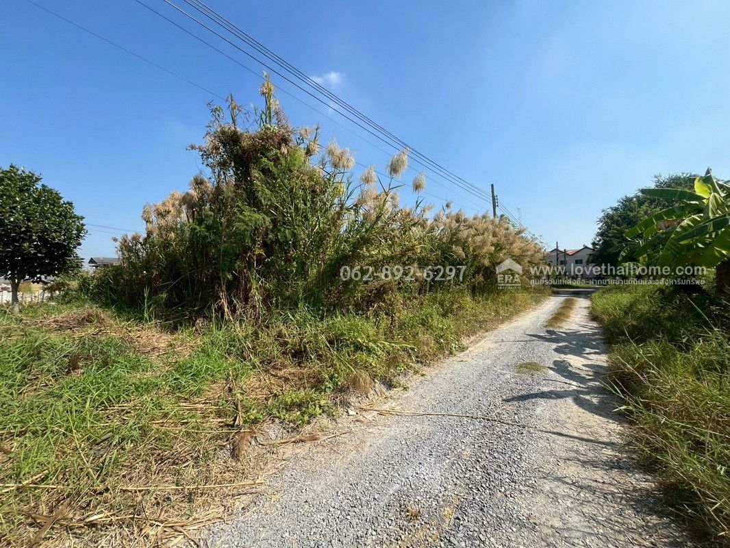 รูป ขายที่ดินถมแล้ว พื้นที่ 100 วาแปลงสวยติดถนนราคา 15,000 บาท/ตรว.เท่านั้น - รูปที่ 8/11