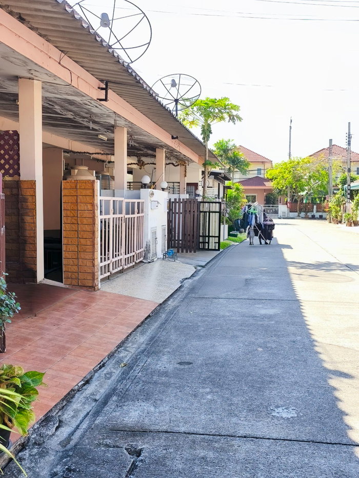 รูป ทาวน์เอ้าส์ หนองจอก มิตรไมตรี หมู่บ้านนันทวี 4 รีสอร์ท ใกล้ถนนเดินสะดวก มีรถโดยสารผ่านหน้าโครงการ  นัดชมด่วน ราคาดี 085-318-6868 คุณวา - รูปที่ 3/13