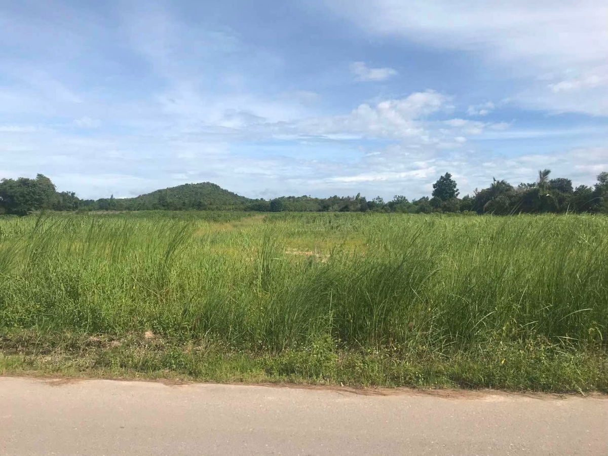 picture Land for Sale: 24 Rai 3 Ngan 97.5 Square Wah 📍 Tha Khoei Subdistrict, Suan Phueng District, Ratchaburi Province - 3/3