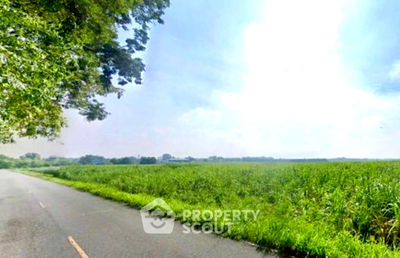 ที่ดิน บ้านบึง ชลบุรี : ที่ดินสำหรับปล่อยขาย 170,140 ตารางเมตร แถว ใน หนองชาก (ID 2552305)