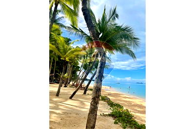 ที่ดิน เกาะสมุย สุราษฎร์ธานี : [920121083-25] "Dream Tropical Paradise" Land 30 Years Lease