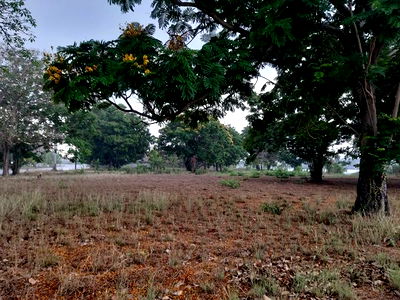 ที่ดิน สามโคก ปทุมธานี : ⛳ขายที่ดินเปล่าเหมาะสำหรับปลูกสร้างบ้าน ในโครงการหมู่บ้านเดอะลากูน1 อำเภอสามโคก จังหวัดปทุมธานี ติดละเลสาป ⛳