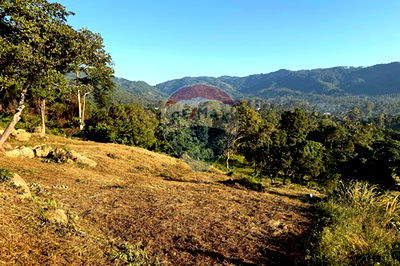 Land for sale Ko Samui Surat Thani : [920121059-41] Land for Sale - Lamai Hill, Koh Samui | Sea & Mountain Views