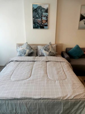 Condos for rent 62 BLOCS Market : For Rent : Dcondo Campus - Brand New & Ready to Move In!
