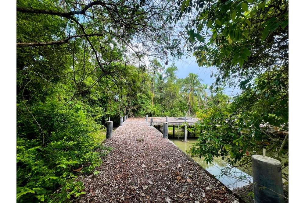 รูป [920121030-202] ขายที่ดินหายากในพื้นที่ทำเลดี เดินถึงหาดบ้านเราะ อ.ท่าศาลา - รูปที่ 12/28