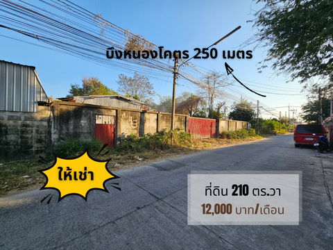 Land for Rent – 210 sq.wah Near Nong Kot Lake (250 meters) — Fully Concrete-Paved Plot, Flood-Free, Ideal for Business Use