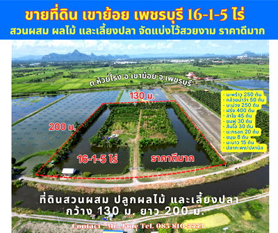 ที่ดิน เพชรบุรี : ายที่ดิน สี่เหลียมสวย ทำสวนผลไม้ผสม และเลี้ยงปลา วิวดีมาก ตำบลห้วยโรง อำเภอเขาย้อย เพชรบุรี 16-1-5 ไร่ ราคาดีมาก ขาย 390,000 บาทต่อไร่ เท่านั้น