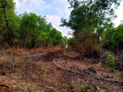 ที่ดิน องครักษ์ นครนายก : ขายด่วน ที่ดินเปล่าโฉนดครุฑแดง ในโครงการสวนกลางน้ำ องครักษ์ นครนายก