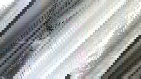 🛏️ 2 ห้องนอน - 🛁 2 ห้องน้ำ - 🏙️ Sea View - 🇹🇭 ชื่อไทย - 🏢 The Base Central Pattaya - รหัส: BASE59