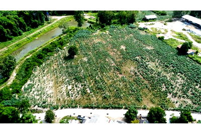 Houses for sale Bang Lamung Chonburi : [920311006-206] LAND FOR SALE in Khao Mai Kaew, Pong