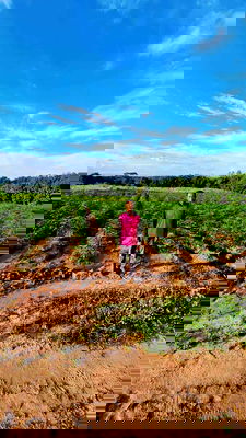 Land for sale Kut Chap Udon Thani : 17 Rai of Agricultural Land near Huei Long Reservoir