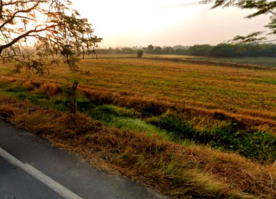 ที่ดิน กำแพงแสน นครปฐม : ขายถูกมาก ไร่ละไม่ถึงล้าน ที่ดินติดถนน ทำเลดีมีศักยภาพสูง 6.5ไร่ ต.ห้วยขวาง อ.กำแพงแสน นครปฐม