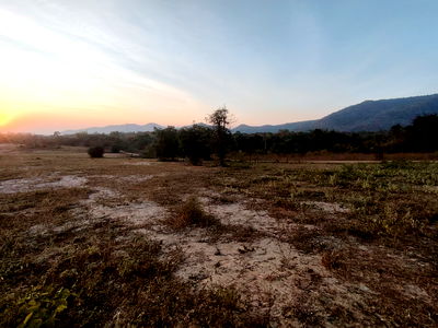 ที่ดิน ม.ศิลปากรวิทยาเขตสารสนเทศเพชรบุรี : ที่ดินหัวหิน  5-0-30 ไร่  วิวภูเขาแบบพาโนรามา!  ที่ดินเหมาะสำหรับการพัฒนาโครงการบ้านหรูวิวเขา