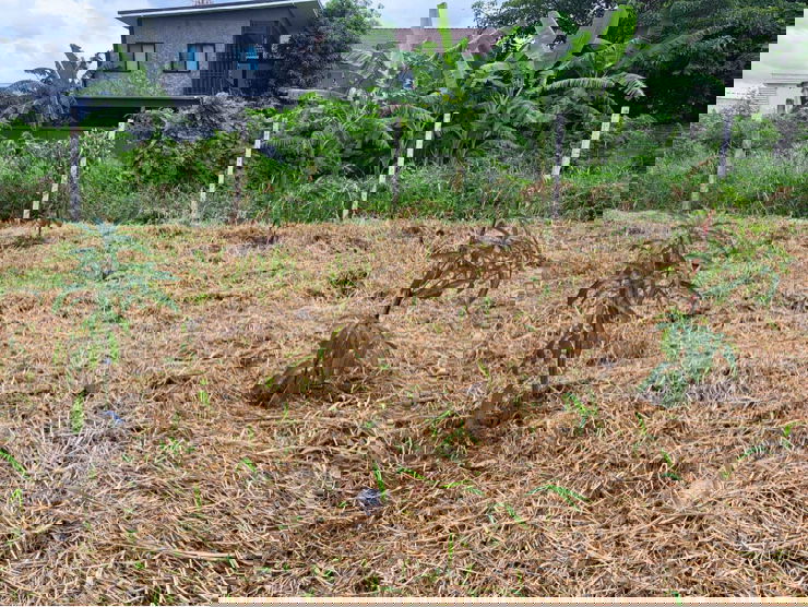 รูป 🌿ขายที่ดินแปลงสวย ทำเลนวมินทร์ (ซอยนวมินทร์ 163) 101 ตร.ว. ราคา 45,000/ตร.ว. - รูปที่ 9/10