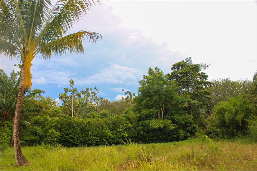 รูป [920281015-447] ขายที่ดินอ่าวนาง อยู่ใกล้หาดเพียง 4 นาที - รูปที่ 9/13