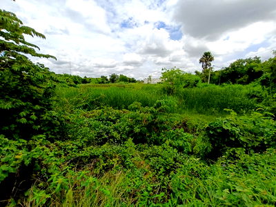 ที่ดิน สุพรรณบุรี : ที่ดินใจกลางเมืองสุพรรณบุรี สนใจโทรสอบถามข้อมูล 0995459556