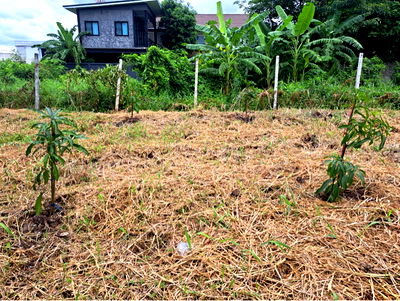 ที่ดิน รามอินทรา 103/2 : 🌿ขายที่ดินแปลงสวย ทำเลนวมินทร์ (ซอยนวมินทร์ 163) 101 ตร.ว. ราคา 45,000/ตร.ว.