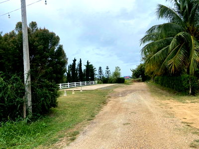 ที่ดิน เมืองแพร่ แพร่ : ขายที่ดิน 3 ไร่ ทำเลสวยมาก วิวเห็นเขารอบด้าน 360 องศา ใกล้พระธาตุช่อแฮ ใกล้สนามบินแพร่