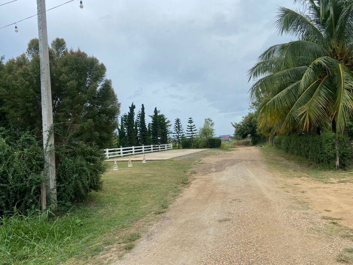 รูป ขายที่ดิน 3 ไร่ ทำเลสวยมาก วิวเห็นเขารอบด้าน 360 องศา ใกล้พระธาตุช่อแฮ ใกล้สนามบินแพร่ - รูปที่ 1/6