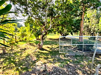 Land for sale : 4,816 m² Land for Sale close to San Kam Phaeng Hot Spring (ID 2477985)