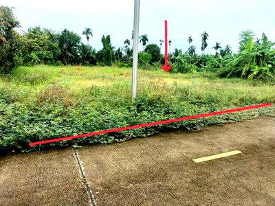 ที่ดิน นิคมอัญธานี (เจมโมโปลิส) : ขายที่ดินถมแล้ว 300 ตรว. ผังสีเขียว ซ.วัดศรีวารีน้อย หนองปรือ เหมาะสร้างบ้าน หรือ คาเฟ่แลเครื่องบิน