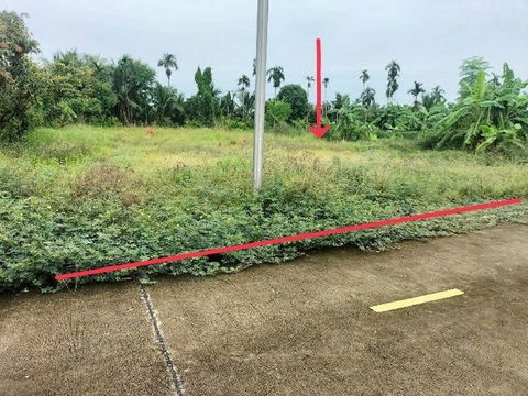 ขายที่ดินถมแล้ว 300 ตรว. ผังสีเขียว ซ.วัดศรีวารีน้อย หนองปรือ เหมาะสร้างบ้าน หรือ คาเฟ่แลเครื่องบิน