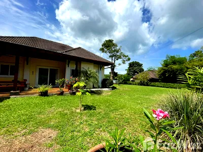 Houses for rent Thalang Phuket : 3Bedsroom house for rent in Paklok Thalang 5651877