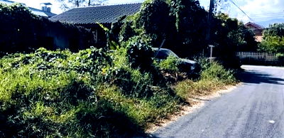 ที่ดิน รพ.เทพปัญญา : ขายที่ดินตำบลป่าตันในหมู่บ้านเทียมพรซอย 17 พร้อมโอน