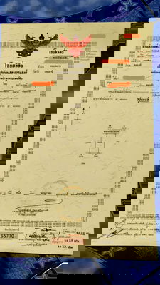ที่ดิน คลองหลวง ปทุมธานี :  Vacant land for sale (already filled/leveled), formerly rice paddy land (owner selling directly).