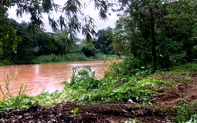 ที่ดิน เทศบาลตำบลดอนแก้ว : ขายที่ดินติดถนนติดแม่น้ำปิงตำบลสบแม่ข่าหางดงพร้อมโอน