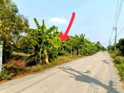 ที่ดิน หนองเสือ ปทุมธานี : ขายถูกที่ดินหนองเสือ 3-3-27 ไร่ ผังสีชมพู บนถนนรังสิต-นครนายก คลอง8  เหมาะสร้างบ้าน โกดัง