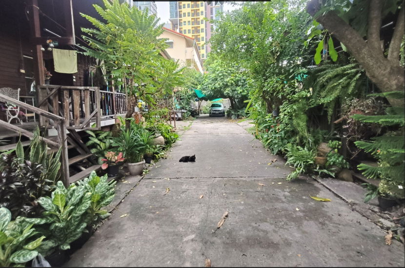 รูป ขายที่ดินสุขุมวิท103-2 ขนาด 217 ตร.ว. ใกล้ BTSอุดมสุข BTSบางนา_BL172 - รูปที่ 8/10